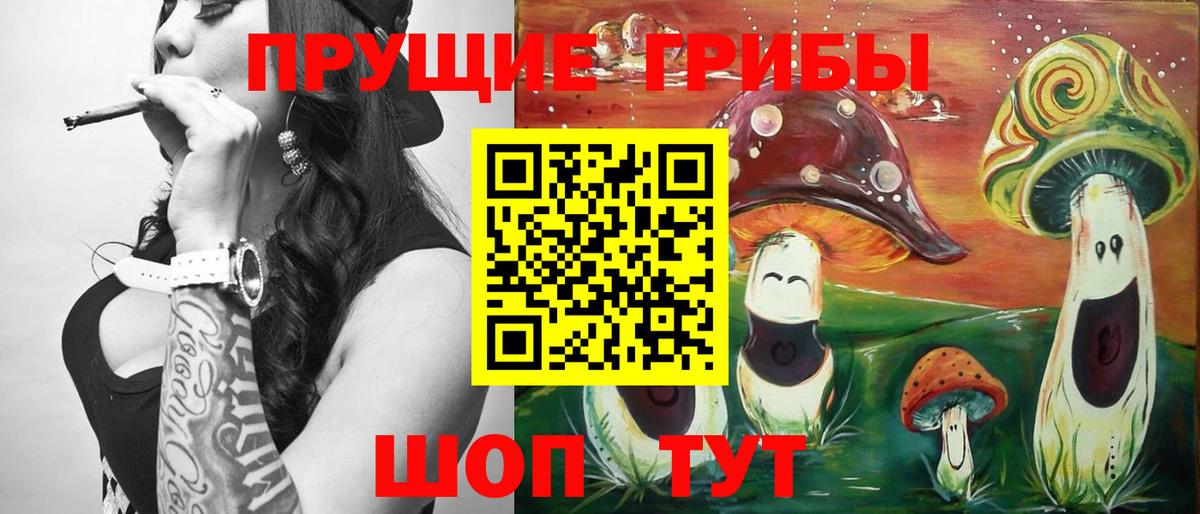 Гусиноозёрск  Галлюциногенные грибы Psilocybine cubensis  Вход с VPN 